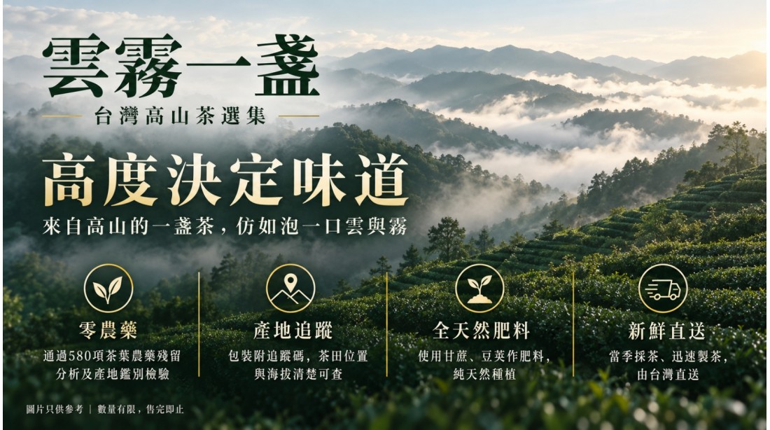 雲霧一盞 台灣高山茶
